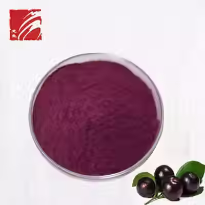 100% Pure Natural Organic Acai Berry Powder Fruit Extract
