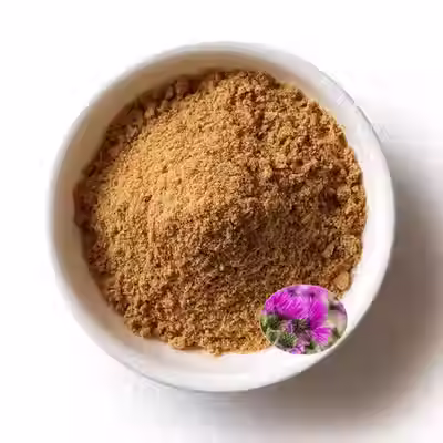 Milk Thistle Extract Powder 40% / 80% Silymarin