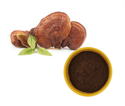 Ganoderma Lucidum Extract